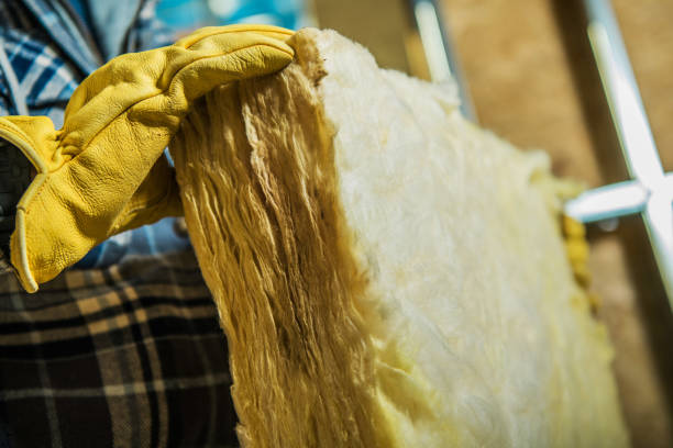 Best Residential Insulation in Canton, MS