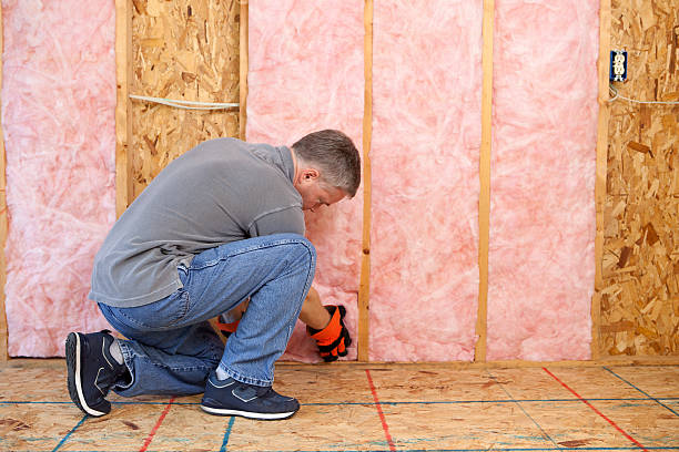 Best Commercial Insulation in Canton, MS