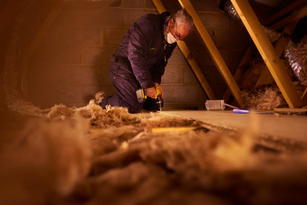 Best Insulation Maintenance and Repair in Canton, MS